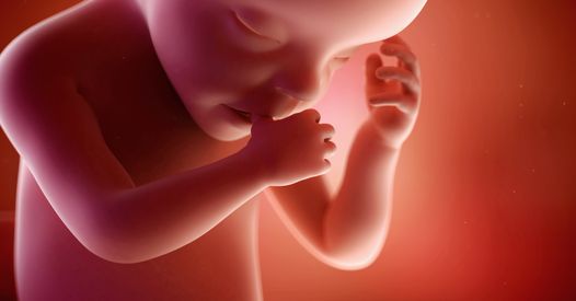 Faire L'amour Tous Les Jours Grossesse Forum 30ème semaine de grossesse (32 SA) côté bébé et maman - 7ème mois