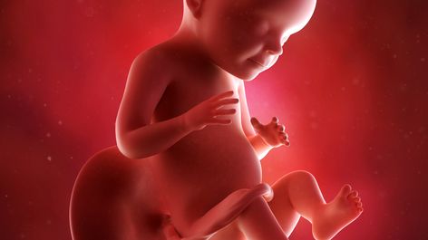 28eme Semaine De Grossesse 30 Sa Cote Bebe Et Maman 7eme Mois