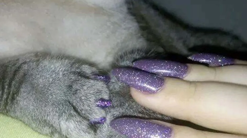 Paws Up! You Can Now Get Matching Manicures With Your Pets