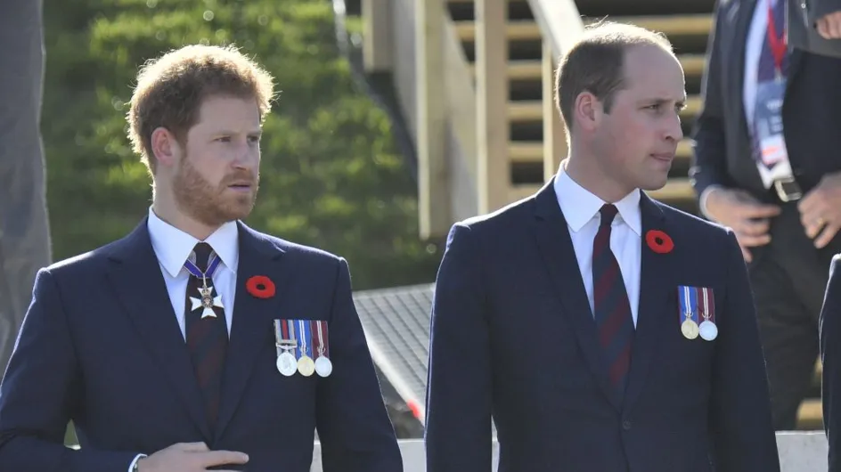 Pour la première fois, les princes William et Harry évoquent leur mère ensemble (vidéo)