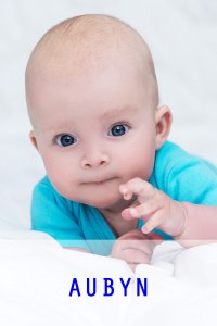 Top posh baby names