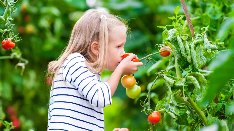 Comment bien débuter le jardinage avec un enfant ?