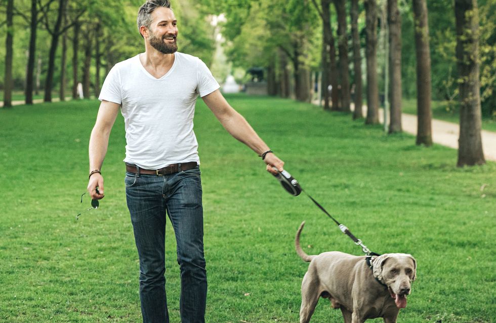 Come Capire Se Il Cane Ti Ha Scelto Come Padrone