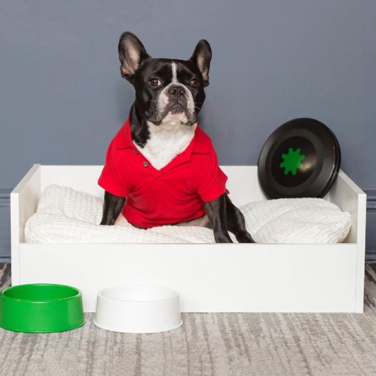 Alles für den Hund IKEA macht jetzt Möbel für Haustiere