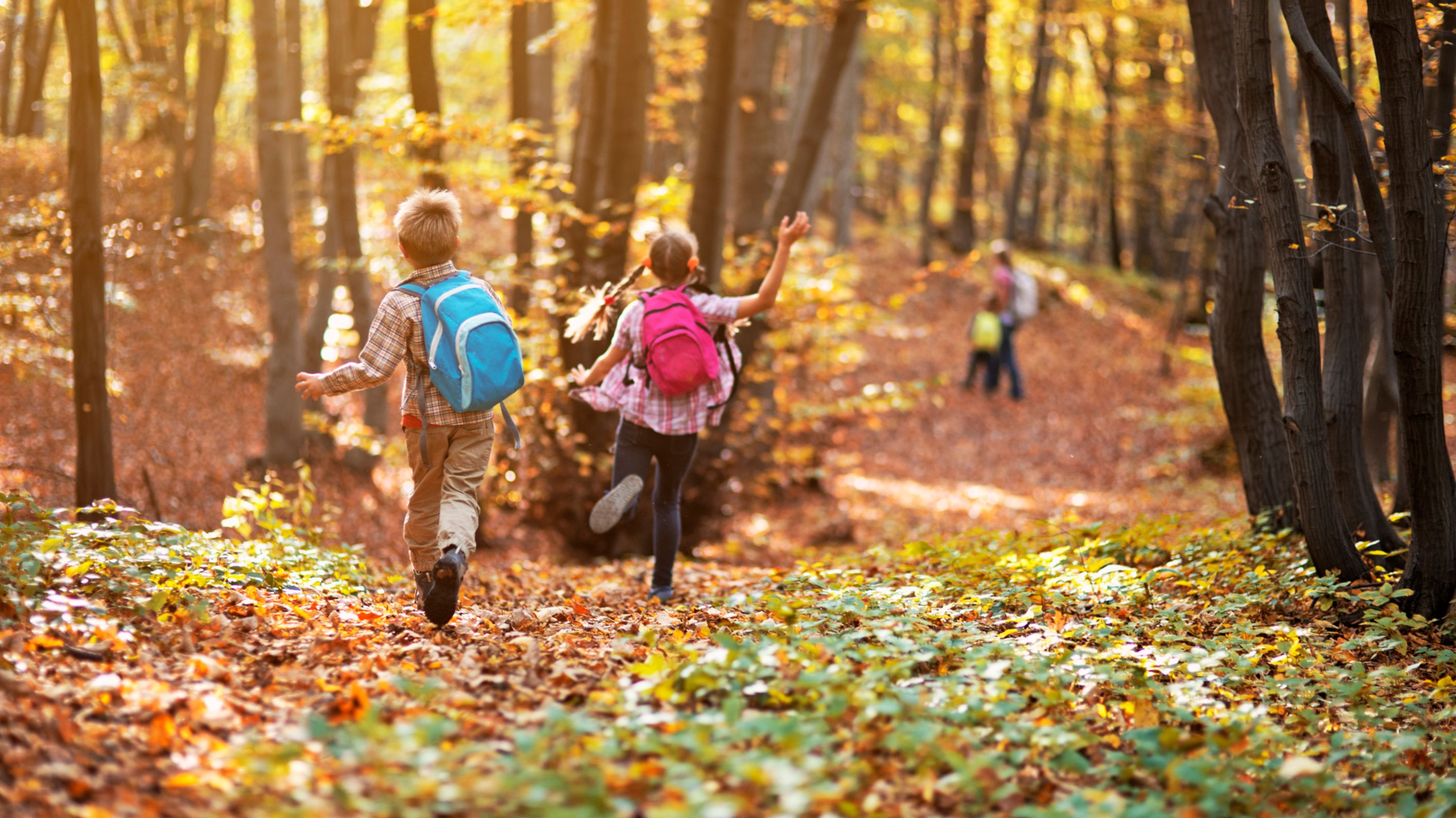 Les Sorties à Faire Pendant Les Vacances De La Toussaint 