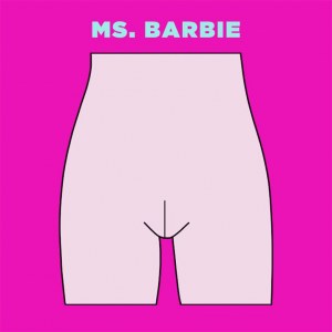 Tipos de vulvas: Srta. Barbie