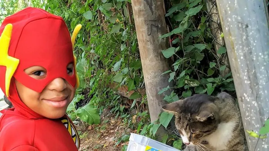 Este niño se viste de superhéroe y salva a los gatos callejeros