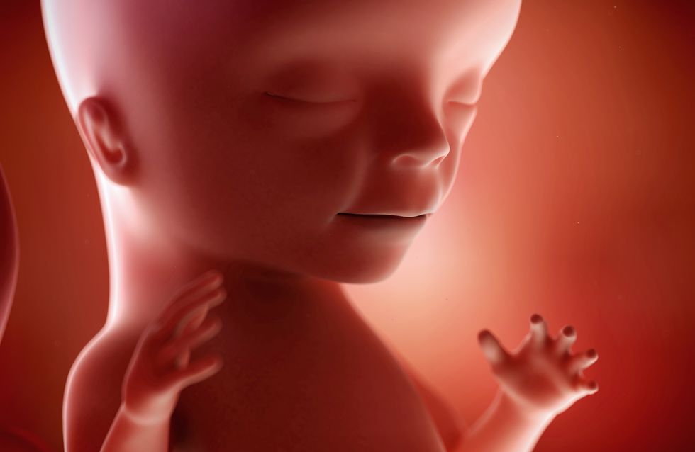 Minzione frequente di 18 settimane
