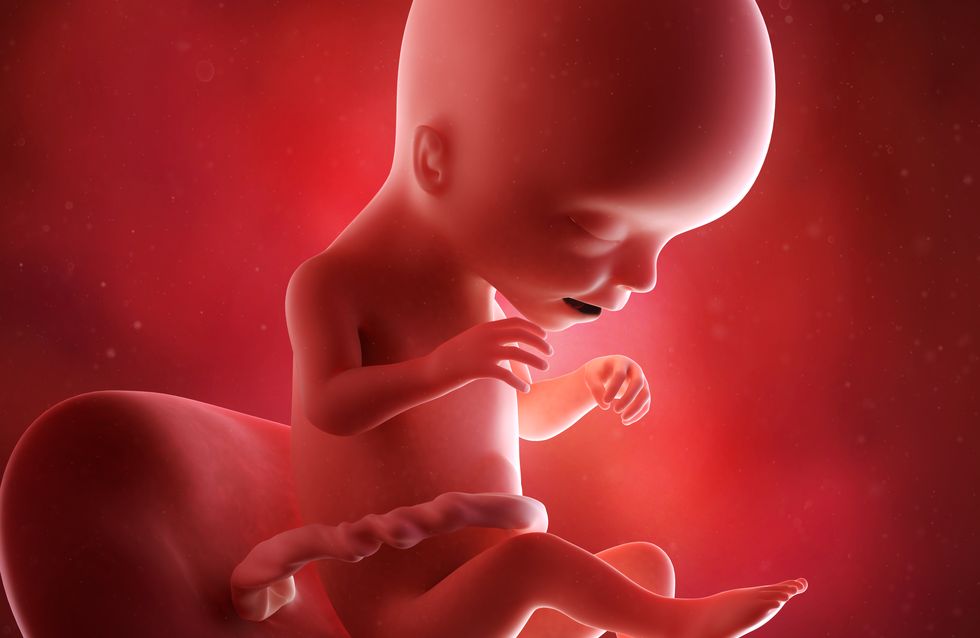 dolore basso ventre sinistra bambini