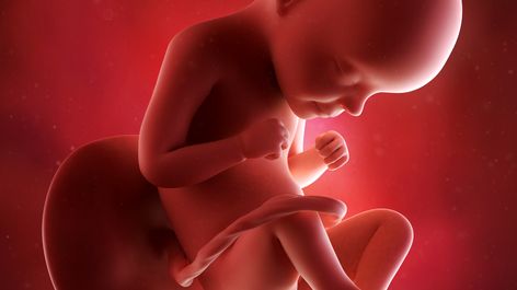 29 Settimane Di Gravidanza Ecco Cosa Succede Al 7 Mese