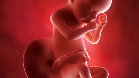 31 Settimana Di Gravidanza Cosa Succede All 8 Mese