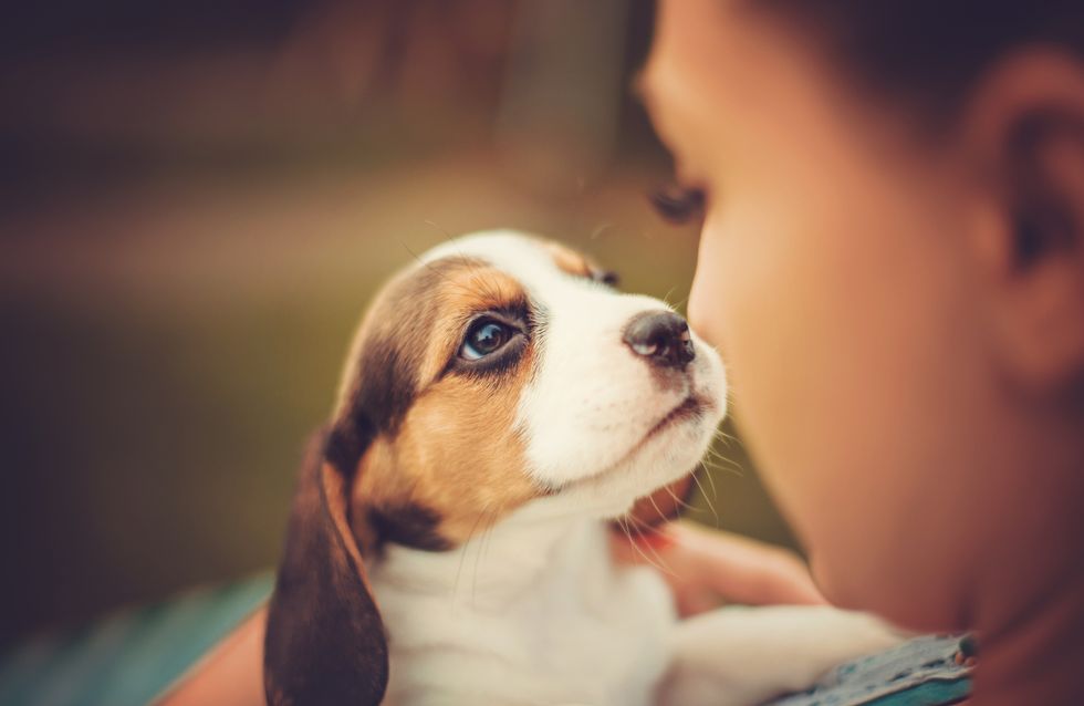 Test Quel Animal De Compagnie Choisir Pour Mon Enfant