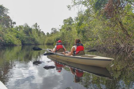 Everglades Area Tours