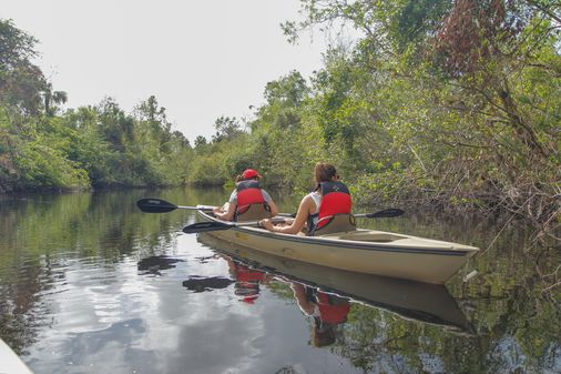 Everglades Area Tours