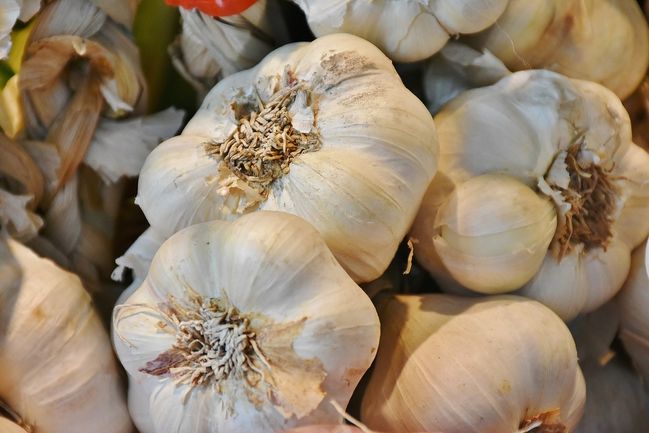 dieta contro lherpes labiale