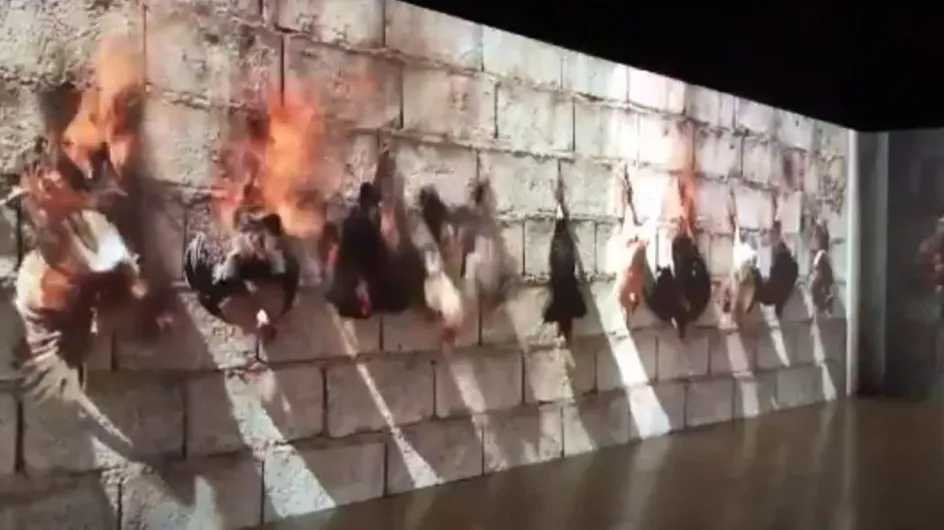 Lyon, une exposition montre une vidéo de poulets brûlés vifs et fait polémique