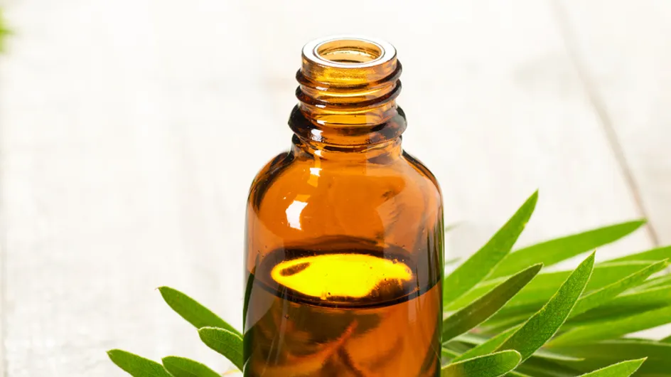 ¿Para que sirve el aceite del árbol del te? 20 usos sorprendentes