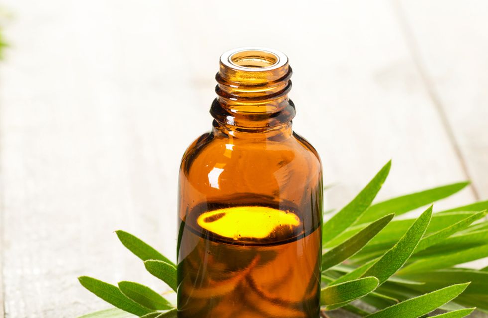 What is tea tree oil for?  20 surprising uses