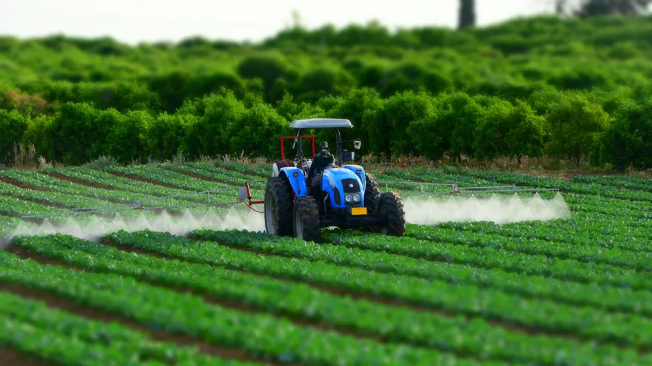 Parkinson, les pesticides menacent agriculteurs et riverains