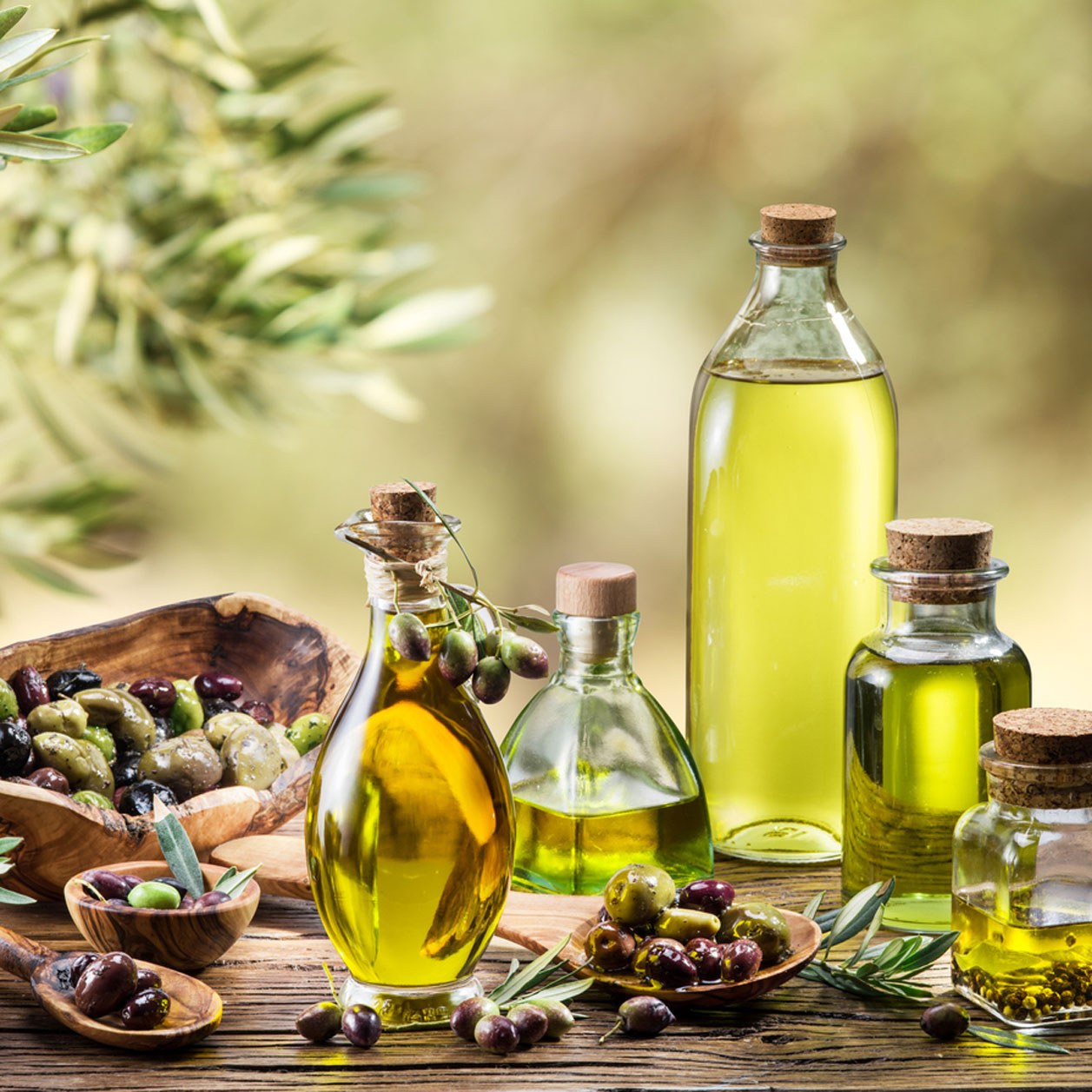 Olivenol Ist Sooo Gesund Darum Sollten Wir Mehr Olivenol Essen