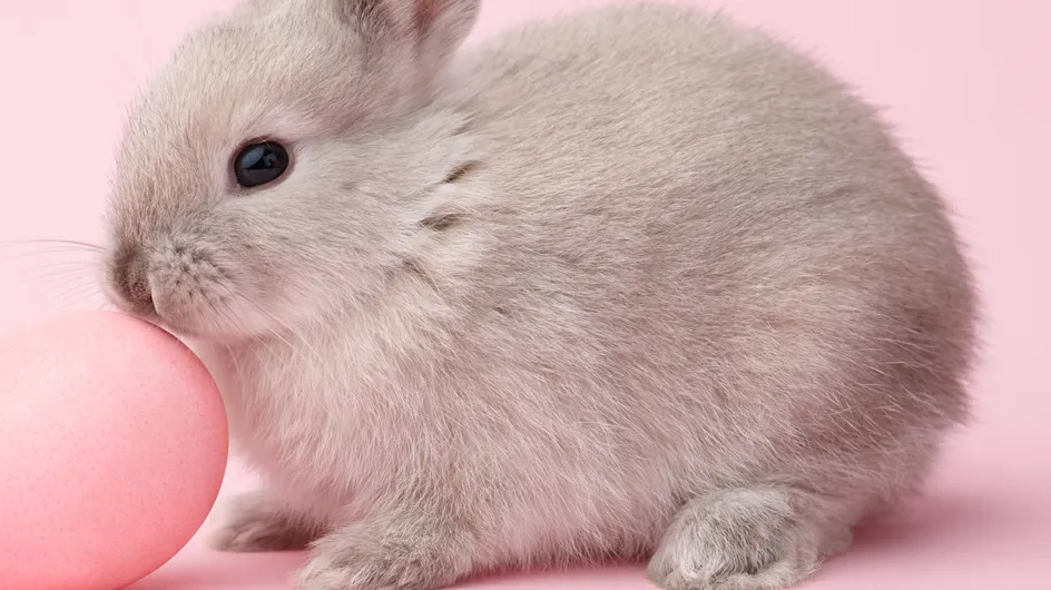 Bravo ! La Californie interdit la vente de cosmétiques testés sur les animaux