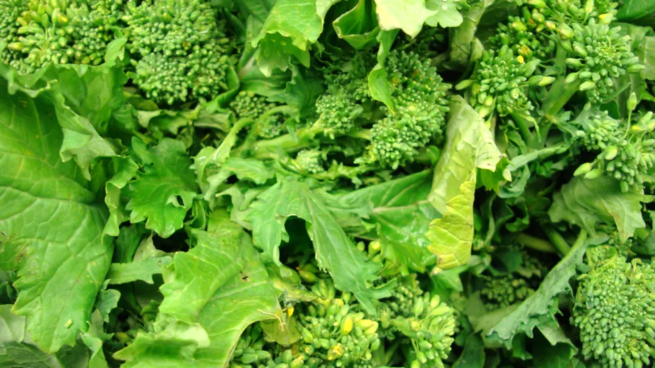 Le broccolini, super-aliment tendance et de saison