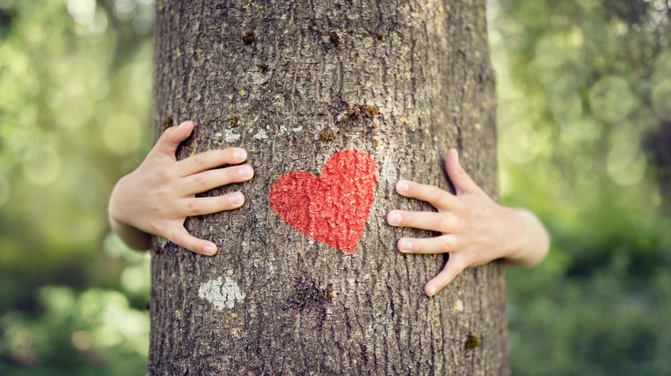 Un jeune observe pour apprendre à baiser Un jeune observe pour apprendre à baiser
