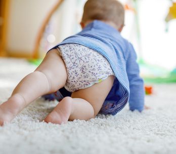 Top 6 Des Meilleurs Mouche Bebes Et Nos Conseils