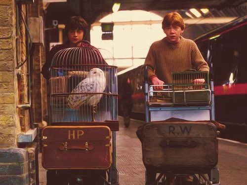 Ideas de regalo originales para fans de Harry Potter