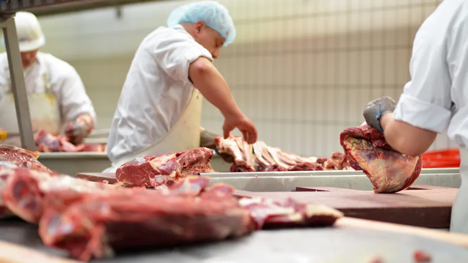 145 kg de viande avariée polonaise ont été identifiés, 150 kg ont été vendus