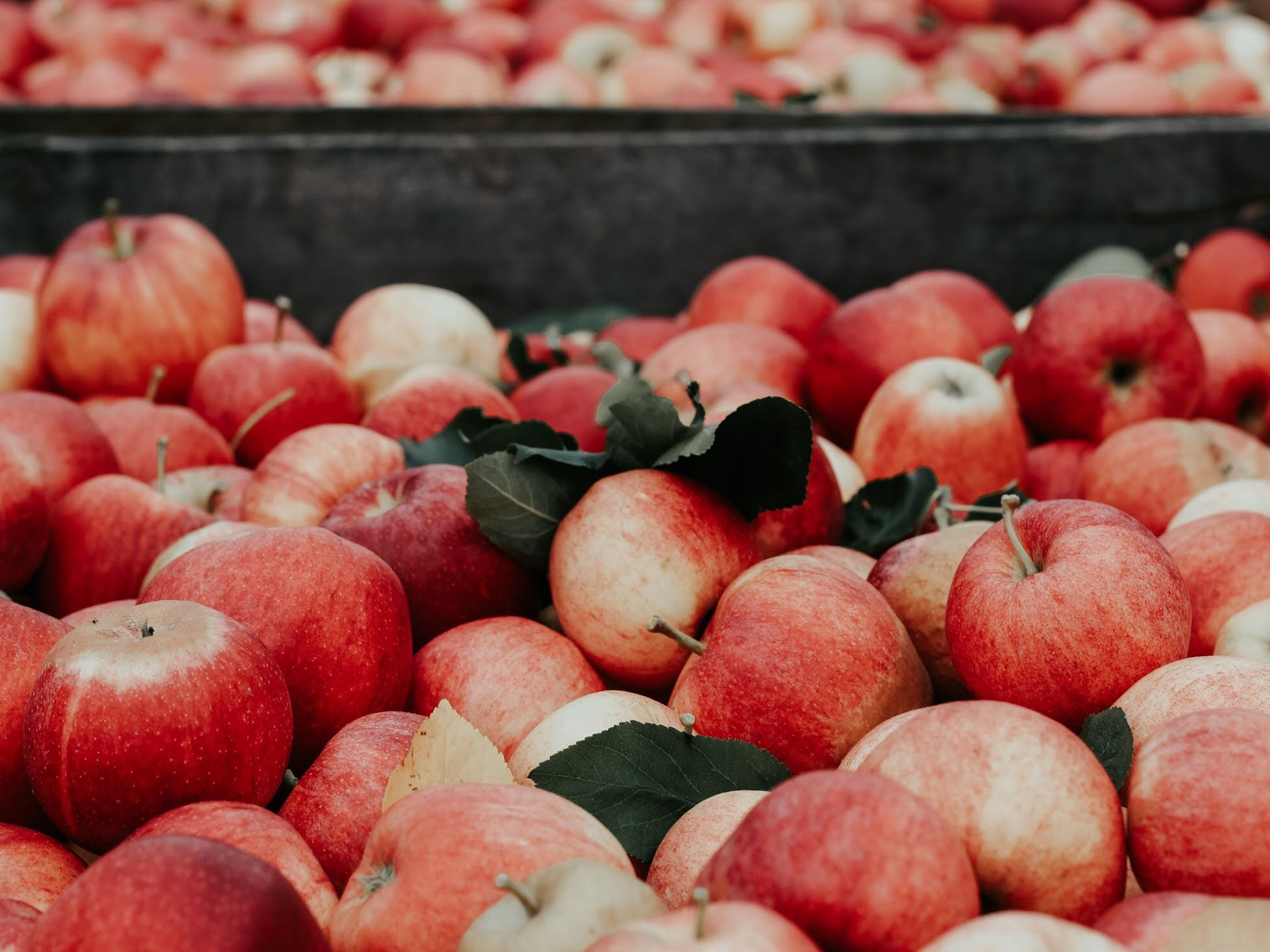 receta para tinta Propiedades de la manzana: la fruta por excelencia para la salud