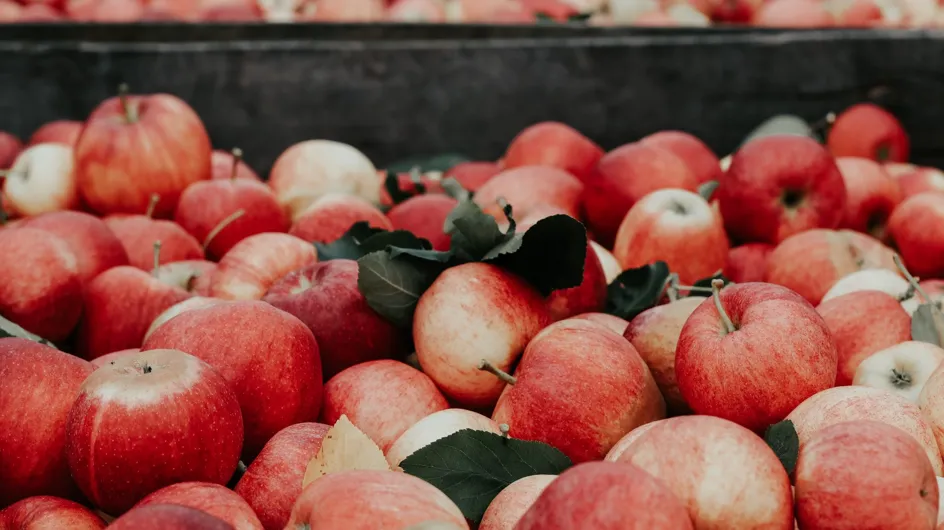 Propiedades de la manzana: la fruta por excelencia para la salud