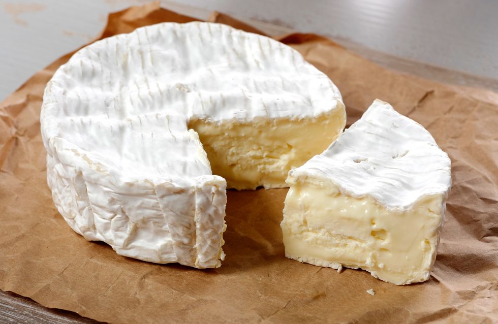 Tout Savoir Sur Le Camembert