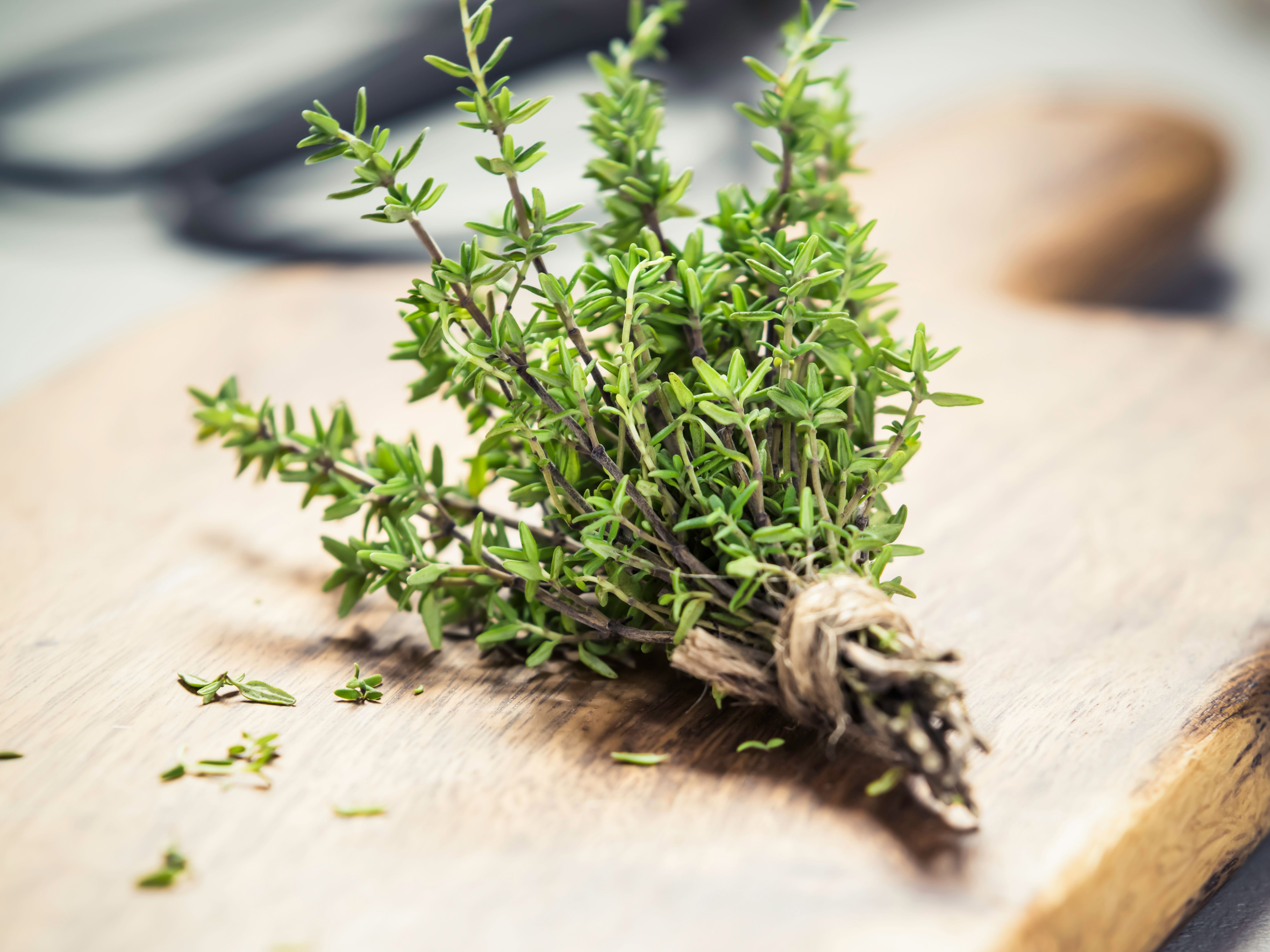 Thyme Forever we can make it