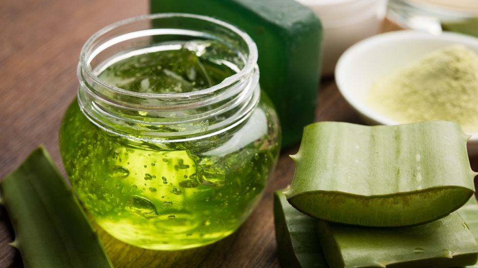 Beneficios De Comer Aloe Vera El Nuevo Superalimento De Moda 1778