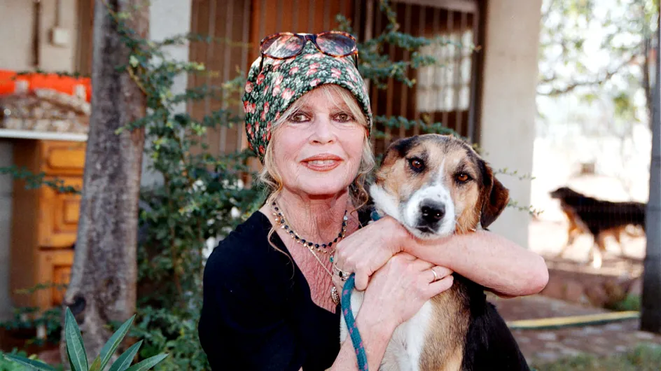 Après ses propos polémiques contre les Réunionnais, Brigitte Bardot s’excuse