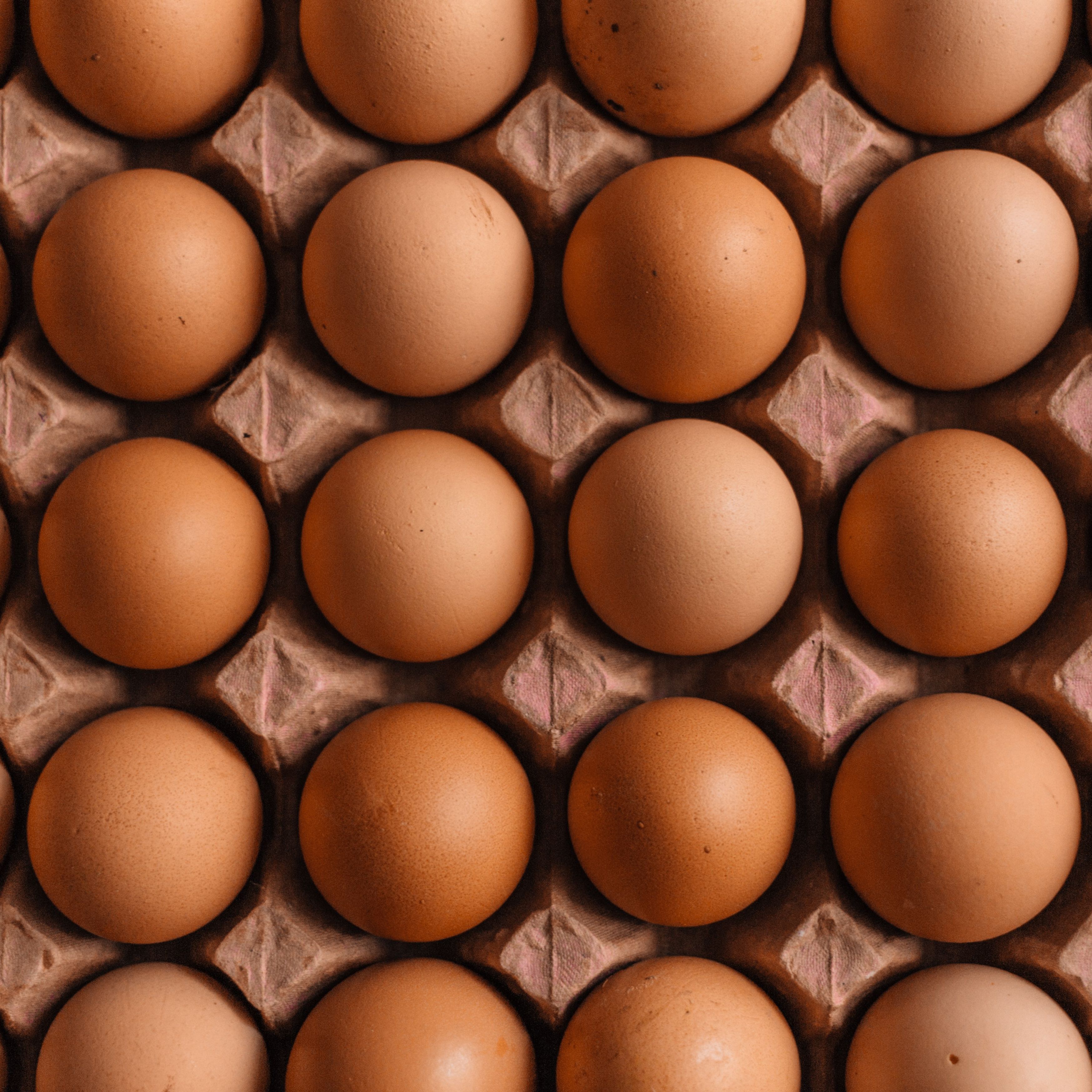 5 recettes de beauté à faire avec un œuf - Marie Claire