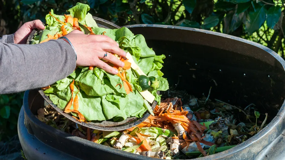 5 astuces pour un compost parfait