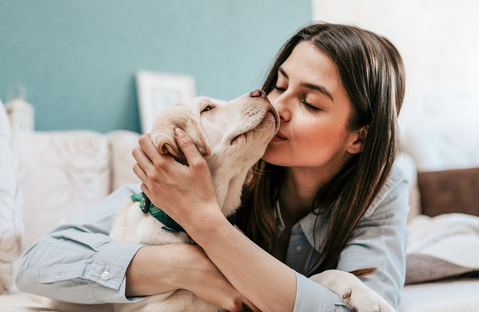 Hund gut für die psyche