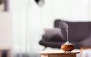 �Cu�les son los mejores ambientadores para tu casa?
