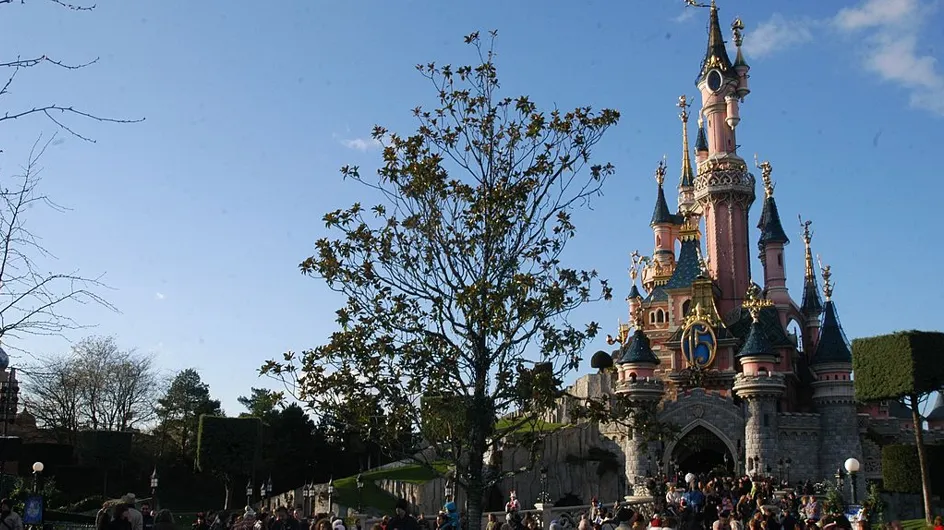Un jeune homme atteint de trisomie 21 recalé d’une attraction à Disneyland Paris