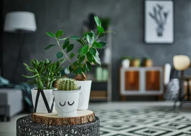 Plantas artificiales bonitas para decorar tu casa
