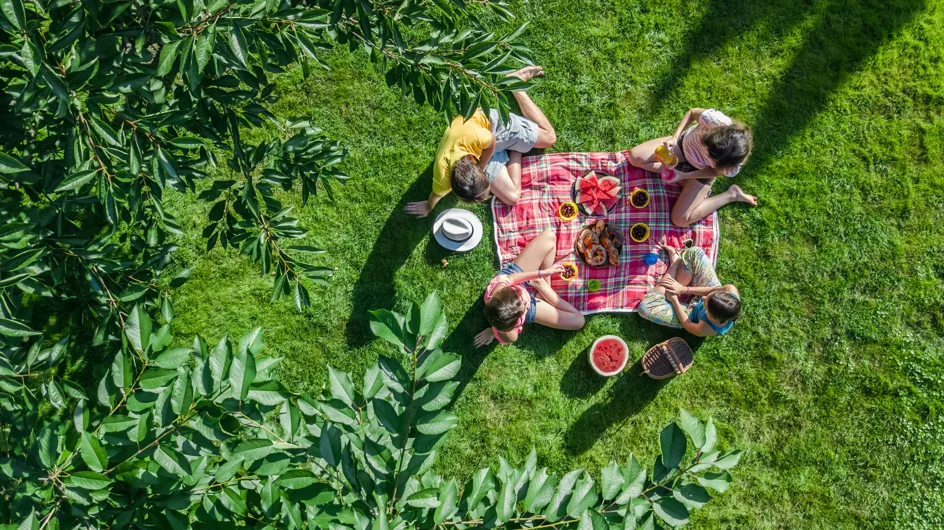 ¿Qué llevar a un picnic? Ideas para un día en el campo