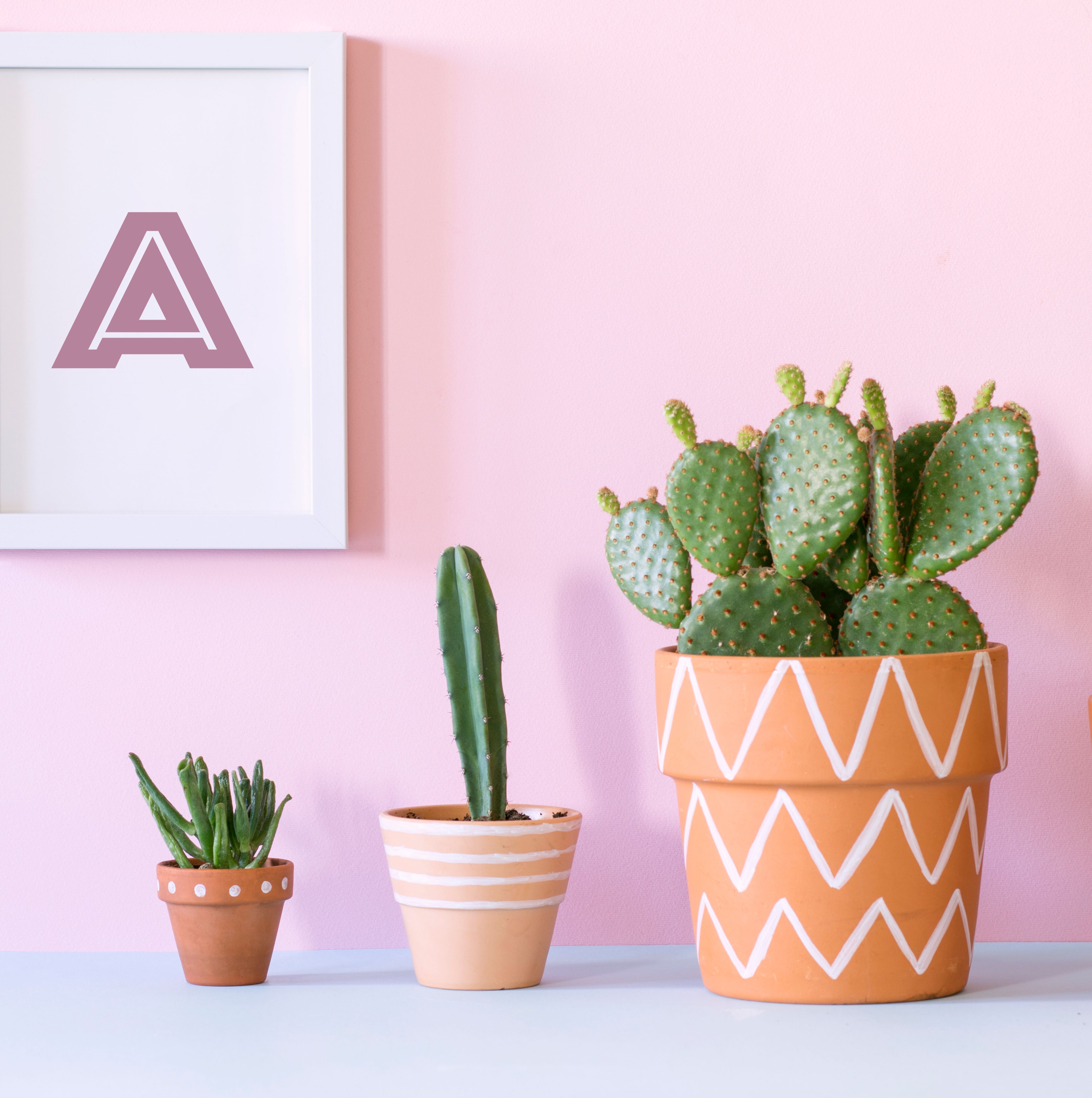 Nos conseils pour entretenir ta plante : Cactus echinocactus grusonii –  Plantes Pour Tous
