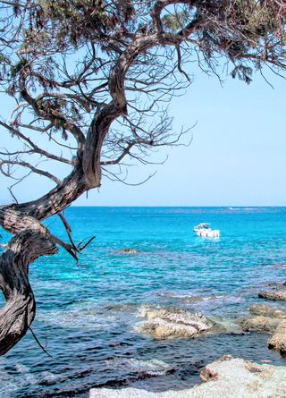 Download Decorations de film adolescent de plage Free