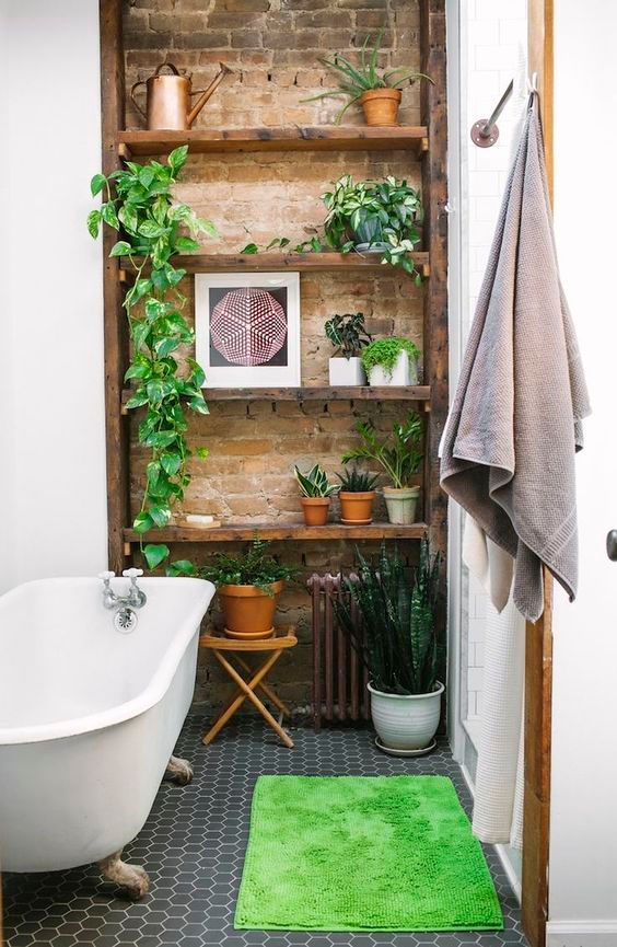Plantes pour salle de bain sans fenêtre - Jardinet - Équipez votre