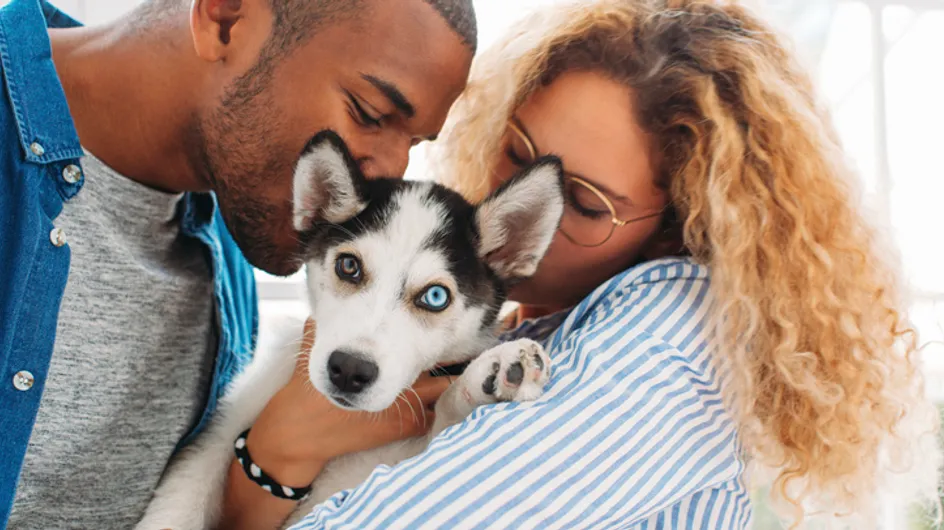 D'après une étude, 52% des propriétaires de chiens l'embrasseraient plus que leur partenaire