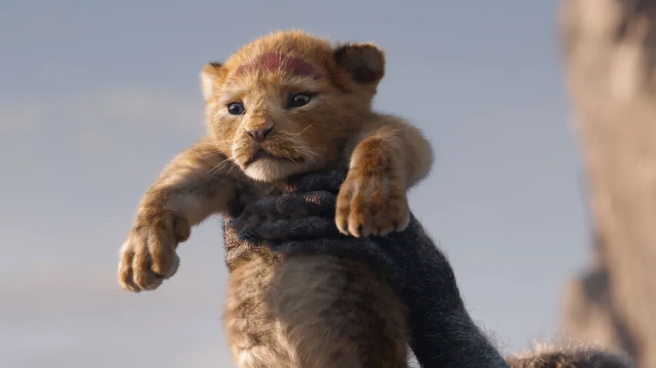 On vous présente l'adorable lionceau filmé pour créer Simba dans Le Roi Lion