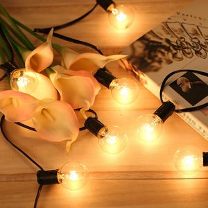 Guirnalda luminosa de Tomshine
