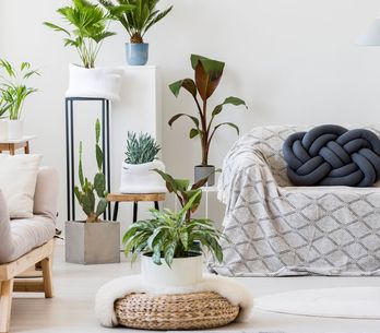 Dachschrägen gestalten: So richtet ihr euer Schlafzimmer perfekt ein